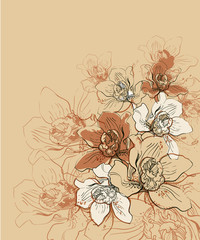 vector background with   hand drawn orchids