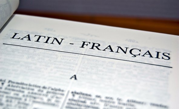 Dictionnaire Latin - Fran&ccedil;ais