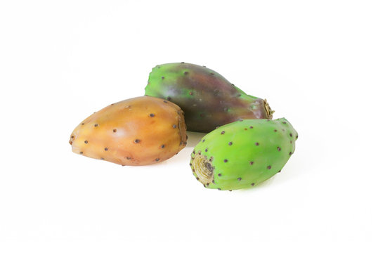 fichi d'india