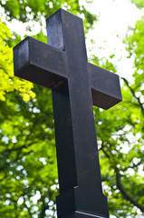 black wooden cross on green plants background