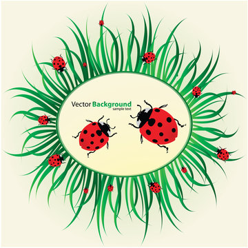 Spring background with ladybirds