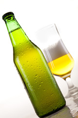 Beer collection, glass in studio