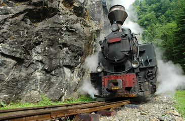 Functional steam locomotive. Vaser valley, Maramures, Romania