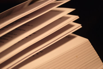 HOJAS DE PAPEL, LIBRO