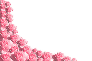 Roses background