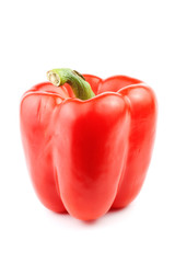 read paprika