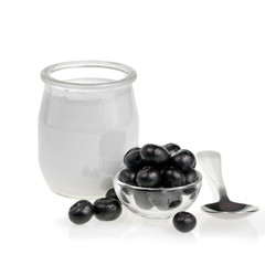 Yogurt and Blueberries