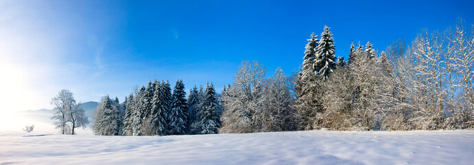Panoramic Winter Landscape XXL
