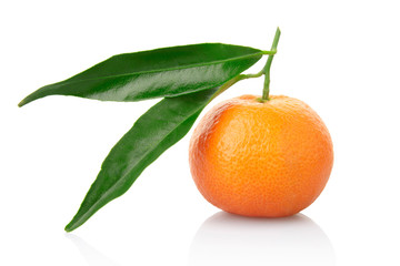 Tangerine with leaf isolated