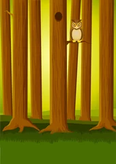 Wall murals Birds in the wood Owl in the forest