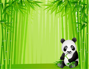Naklejka premium Panda and bamboo forest
