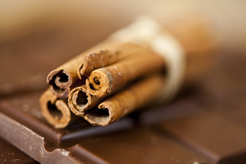 Cinnamon and Chocolate