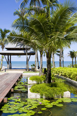 Fototapeta premium Tropical arbor in Thailand.