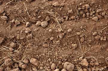 Soil background