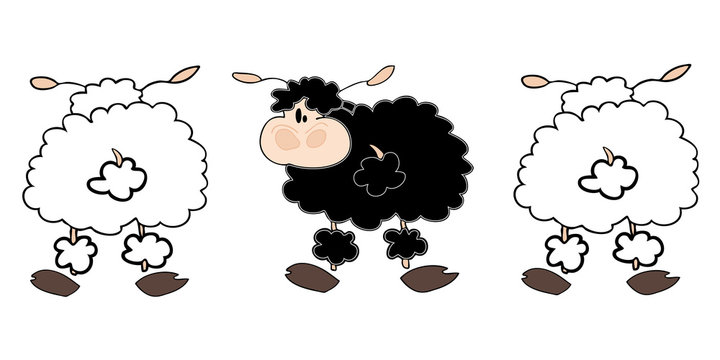 Sheep group.