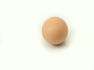 egg