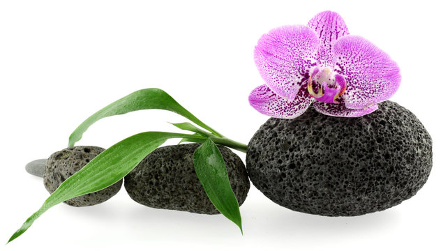 d&eacute;cor zen, orchid&eacute;e, galets et bambou
