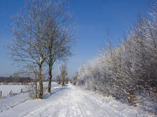 Snow Road