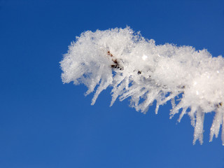 Hoar Frost