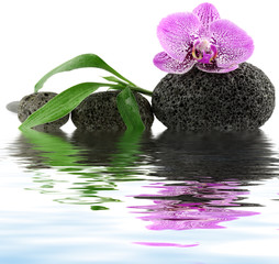 décor zen massage, orchidée, galets et bambou
