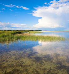 Obraz premium Summer lake panorama.