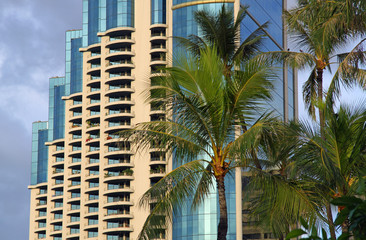 Fototapeta na wymiar Hochhäuser in Honolulu (Oahu, Hawaii)