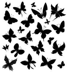 Set of butterflies