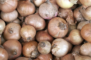 Onions background