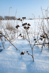 wintertime landscape snow
