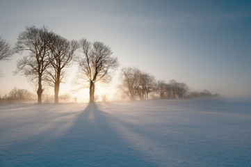 wintertime landscape