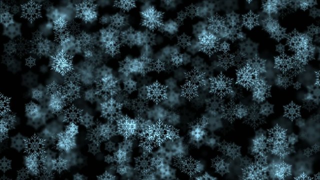 Snow falling down and shallow depth of field.