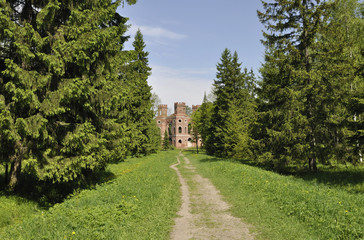 Аллея в Александровском парке. Царское Село