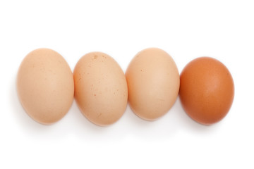 eggs on white background