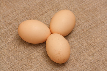 chicken eggs on brown sacking