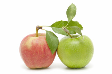 organic apples