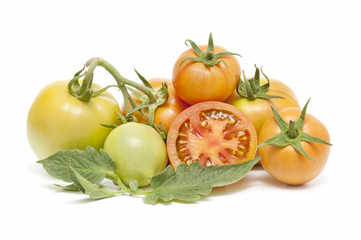 organic tomatoes