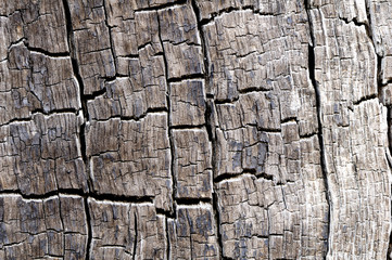 Old wood