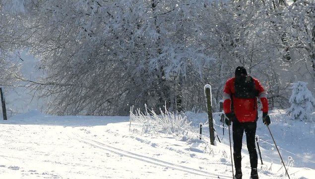 Langläufer bei leichtem Schneefall