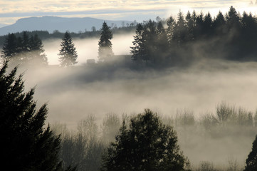 Fog falls over the mountain