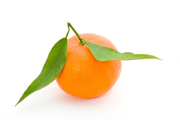 Mandarin orange