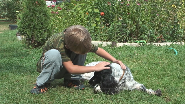 A child stroking a dog lying on the grass.