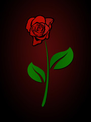 Red Rose In The Dark