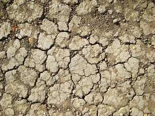 Dried soil in cracks
