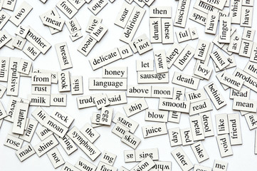Assorted Magnetic Words