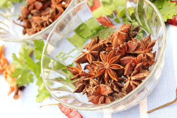 sternanis © Silvia Bogdanski