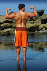 Bodybuilder back