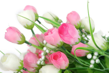 Obraz premium Flower