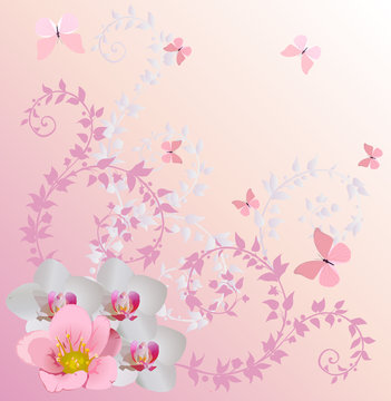ight pink orchid decoration and butterflies