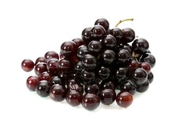 Dark grapes, isolated.
