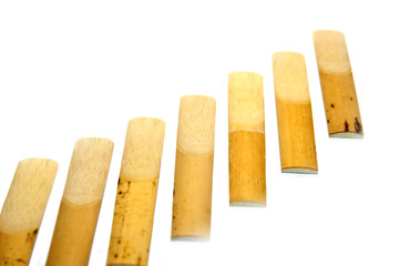 singing sticks
